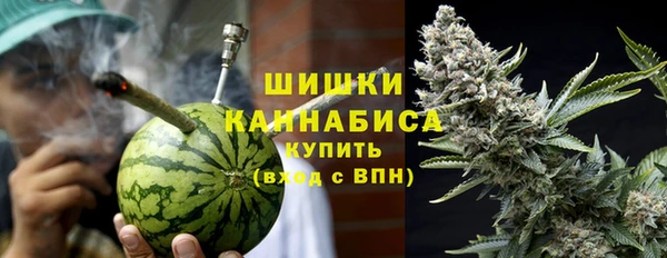 сатива Белокуриха
