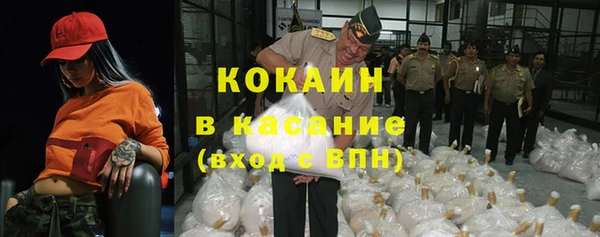 индика Балабаново