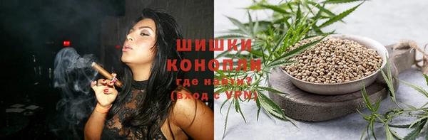 индика Балабаново
