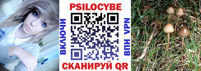 Псилоцибиновые грибы MAGIC MUSHROOMS  мега ссылки  Всеволожск 